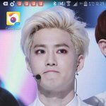 [EXO] 나 이사진 좋아함