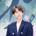 [백현] 백현이 달연 탑별뉴스  기사에서