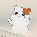 <b>에메</b>필초모리사고 신세계경험했다(사진주의)