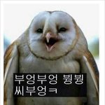 [드루와] 진짜병1신인듯<b>병맛</b>인판녀들 옾챗하자ㄱㄱ