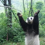 [댓글부탁해] 중2조카한테 생일선물할거 추천부탁..!