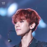 [백현] 아<b>song</b>페 백현