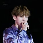 [백현] <b>항저우</b>콘 백현