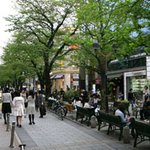 [검객] 남편을 향한 아내의 엽기적인 복수