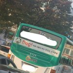 니네 이거 어떻게 생각해
