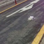 ㅅㅂ 오패산 터널 사건 조카 착잡하다