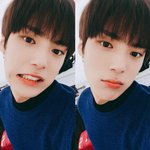 [댓글부탁해] 얘들아 인스있잖아 <b>밀림</b>이 무ㅜ야?