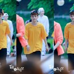 [CHEN] 늑미때 노랭이 체니