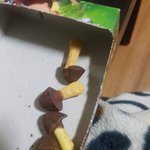 초코송이 냠<b>냠냠</b>