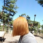 [댓글부탁해] 지금머리에서 <b>이</b>색깔 <b>잘</b>나올까?