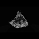 [VIXX] 컨셉션 캡쳐&amp; 나름 해석