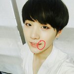입<b>동굴</b> 있는 애들 특징
