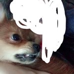 같이 사진 찍자고!!!!!