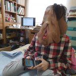 [드루와] 세상에이런일이 <b>관련</b> <b>뉴스</b> 댓글들 드립 모음