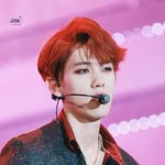[팬픽] 배꽁))
