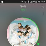 [세븐틴] 팬톡캐럿들 한번씩 읽고가줘!