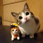 [댓글부탁해] ㅈ까라마<b>이싱</b> 뭔뜻이냐