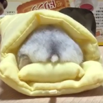 [ㅇㄱㄹㅇ] 이럴 때 전남친 다 잊었구나 느낌