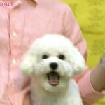 [EXO] 아 시바 나 <b>어제</b> 11시50분 쯤에 잠들었는데