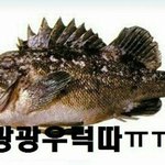 내 몸은 왜이렇게 <b>정직</b>할까