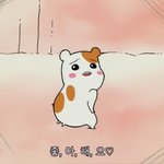 너넨 머리 <b>몇일</b>에 한번씩 감아?