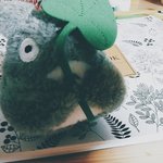 [EXO] 인형뽑기에서 500원주고 한방에 뽑았는데ㅋㅋㅋ