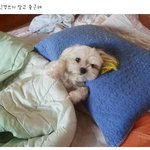 너네 안자구 <b>모해</b>