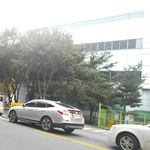 <b>혼다</b> 차럄 이름 뭘까요?