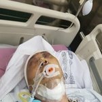 [댓글부탁해] 여수산업공단내 공장에서 저희이모부가 사고를 당하셨습니다...