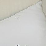 [EXO] 으악 모기다