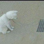 <b>힐링</b>툰 추천좀