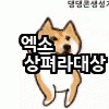 [EXO] 이쯤나오는 <b>시바견</b>