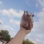 <b>비오</b>는날 매직기