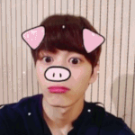 [VIXX] 훵빈이 토끼같이 나온 짤종  뿌려줭
