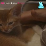 [세븐틴] 나 몽몽이 캡쳐 <b>겁나</b>많이함ㅋㅋㅋㅋㅋ