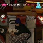 [세븐틴] 오늘 브리앱 요약