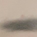 나 눈썹 되게 빠르게 <b>진화</b>하지 않았냐