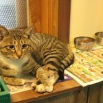 [방탄소년단] 뭐야 이게 <b>다야</b>?