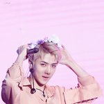 [세훈] 161022 <b>롯데</b> 팸콘 고화질31