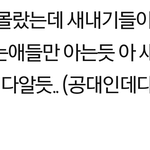 [세븐틴] ㅅㄷ엔터톡에 세봉언급