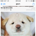 <b>타돌</b> 후려패는 신화창조