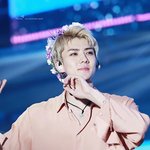 [세훈] 161022 <b>롯데</b> 팸콘 고화질33