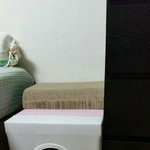 [고양이] 울 <b>아가들</b> 집 만들어 줬어요ㅎㅎ