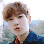 [EXO] 보보 내일 <b>시청</b>률 궁금하다