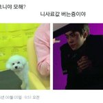 [EXO] 내친구 이짤보고 비비한테 입덕함
