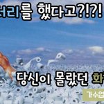 [<b>가내</b>수예업] 이걸로 뒤처리를??? 당신이 몰랐던 화장지 이야기...