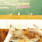 [육성재조이] <b>대나무</b>숲1