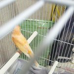 <b>희희</b> 우리 새볼래?