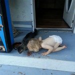 도통 이해하기 힘든 <b>동심</b>의 세계