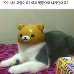 솔직히 박근혜도 <b>탄핵감</b> 아님;?